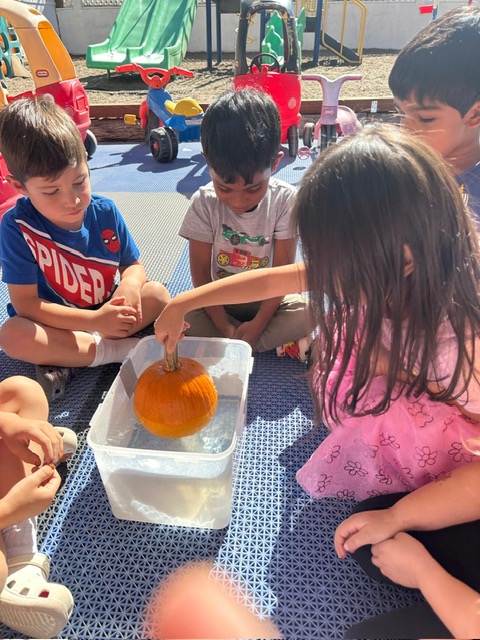 montessorithousandoaks